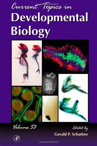 Current Topics In Developmental Biology 53 1st Edition Gerald P Schatten