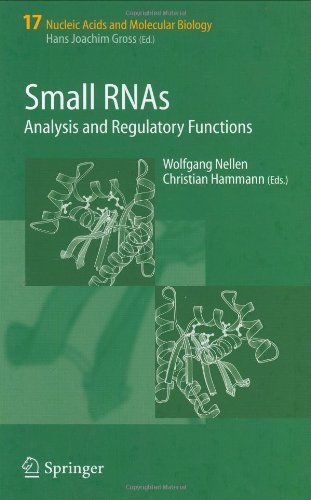 Small Rnas Analysis And Regulatory Functions Nucleic Acids And Molecular Biology 17 1st Edition Wolfgang Nellen