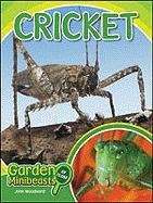 Cricket Garden Minibeasts Up Close 1st Edition John Woodward