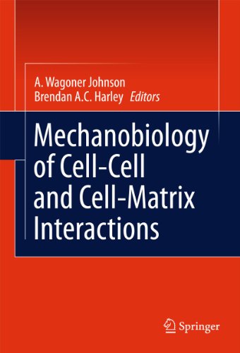 Mechanobiology Of Cellcell And Cellmatrix Interactions 1st Edition Andrew D Rape