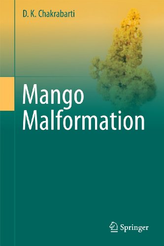 Mango Malformation 1st Edition D K Chakrabarti Auth