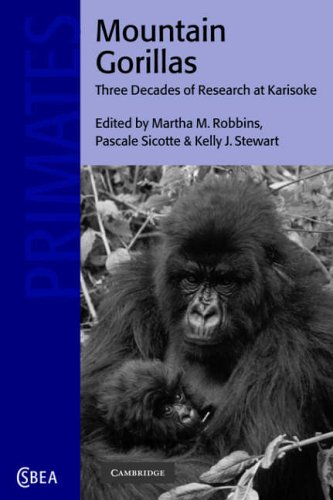 Mountain Gorillas Three Decades Of Research At Karisoke Martha M Robbins