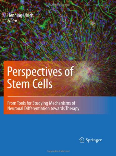Perspectives Of Stem Cells From Tools For Studying Mechanisms Of Neuronal Differentiation Towards Therapy 1st Edition Karla Loureiro Almeida