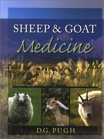 Sheep And Goat Medicine 1st Edition D G Pugh Dvm Ms
