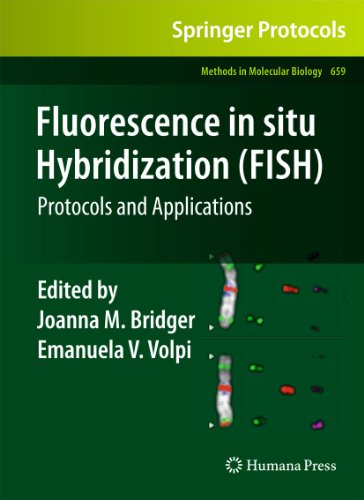Fluorescence In Situ Hybridization Fish Protocols And Applications 1st Edition Elisa Garimberti