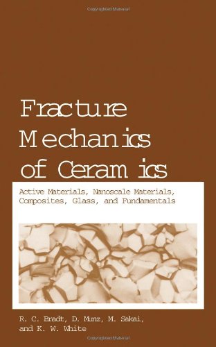 Fracture Mechanics Of Ceramics Active Materials Nanoscale Materials Composites Glass And Fundamentals 1st Edition Rc Bradt