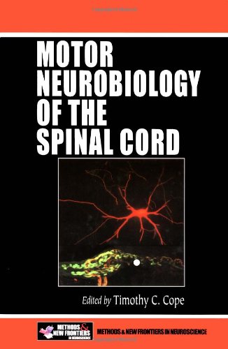Motor Neurobiology Of The Spinal Cord Frontiers In Neuroscience 1st Edition Timothy C Cope