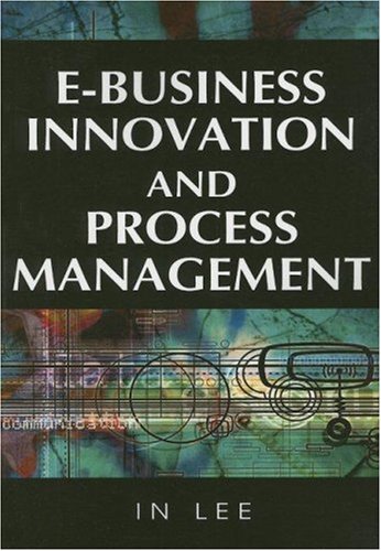 Ebusiness Innovation And Process Management Advances In Ebusiness Research In Lee