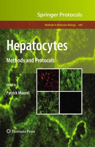 Hepatocytes Methods And Protocols 1st Edition Christiane Guguenguillouzo