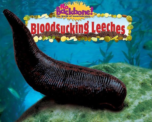 Bloodsucking Leeches No Backbone The World Of Invertebrates Pearl Neuman
