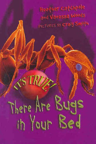 Its True There Are Bugs In Your Bed Its True Heather Catchpole