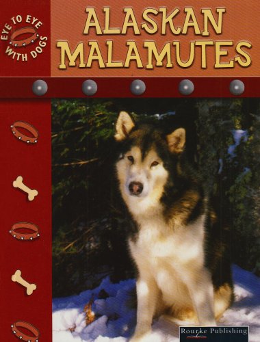 Alaskan Malamutes Stone Lynn M Eye To Eye With Dogs Ii Lynn M Stone