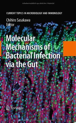 Molecular Mechanisms Of Bacterial Infection Via The Gut 1st Edition Le Shen Auth