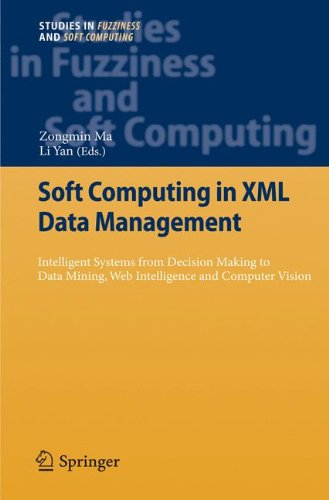 Soft Computing In Xml Data Management Intelligent Systems From Decision Making To Data Mining Web Intelligence And Computer Vision 1st Edition Barbara Oliboni