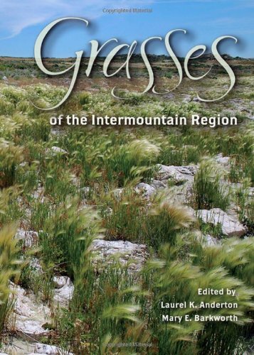 Grasses Of The Intermountain Region 1st Edition Laurel K Anderton