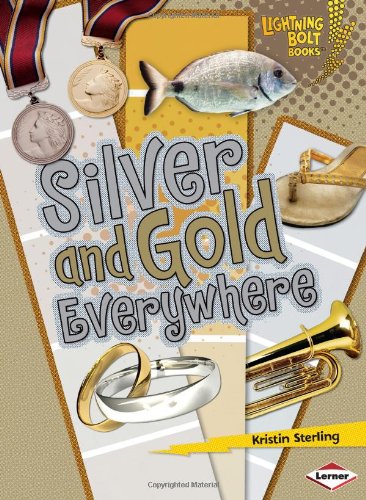 Silver And Gold Everywhere Lightning Bolt Books Colors Everywhere Kristin Sterling