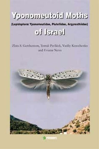 Yponomeutoid Moths Of Israel Lepidoptera Yponomeutidae Plutellidae Argyresthiidae Faunistica Z S Gershenson
