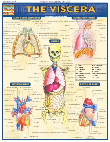 The Viscera Barcharts Quickstudy 1st Edition Inc Barcharts