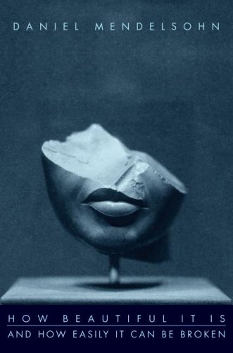 How Beautiful It Is And How Easily It Can Be Broken 1st Edition Daniel Mendelsohn
