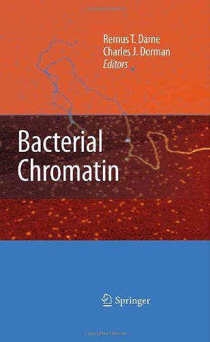 Bacterial Chromatin 1st Edition Remus T Dame Auth Remus T Dame