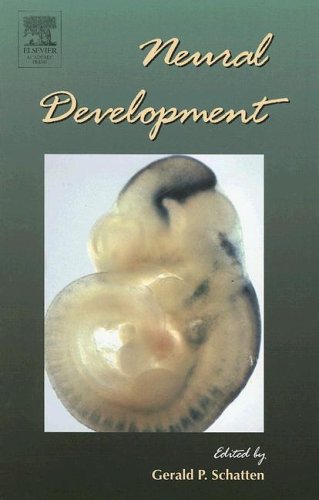 Neural Development 1st Edition Gerald P Schatten Eds