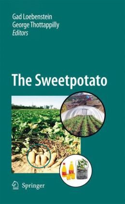The Sweetpotato 1st Edition G Thottappilly Auth Gad Loebenstein