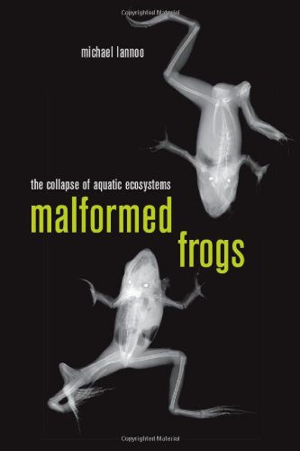 Malformed Frogs The Collapse Of Aquatic Ecosystems 1st Edition Michael Lannoo