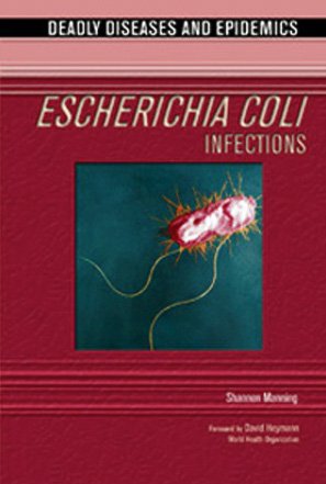Escherichia Coli Infections 1st Edition Shannon D Manning I Edward Alcamo
