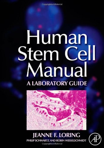 Human Stem Cell Manual A Laboratory Guide 1st Jeanne F Loring