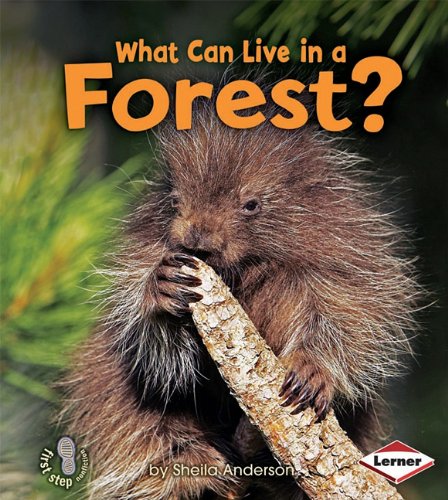 What Can Live In A Forest First Step Nonfiction Animal Adaptations Sheila Anderson