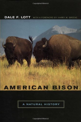 American Bison Kindle Dale F Lott