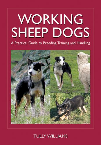 Working Sheep Dogs A Practical Guide To Breedingtraining And Handling Landlinks Press 1st Edition Tully Williams