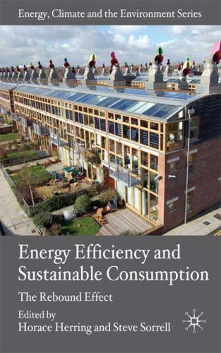 Energy Efficiency And Sustainable Consumption The Rebound Effect Energy Climate And The Environment Horace Herring