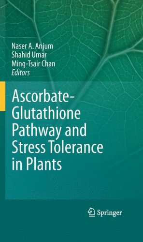 Ascorbateglutathione Pathway And Stress Tolerance In Plants 1st Edition Dariusz Latowski