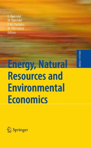 Energy Natural Resources And Environmental Economics 1st Edition Trond Dskeland Auth