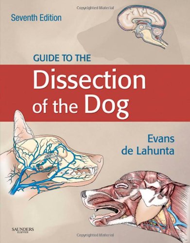 Guide To The Dissection Of The Dog 7th Edition 7th Edition Howard E Evans Phd