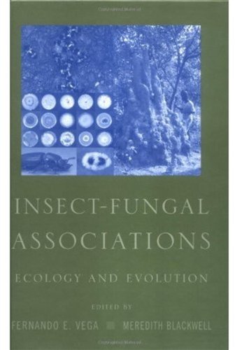 Insectfungal Associations Ecology And Evolution Fernando E Vega
