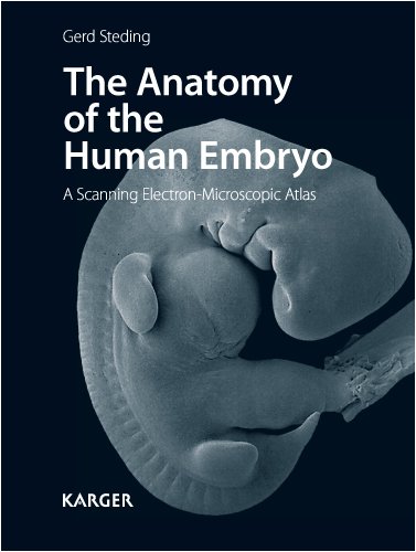 The Anatomy Of The Human Embryo A Scanning Electronmicroscopic Atlas 1st Edition Gerd Steding