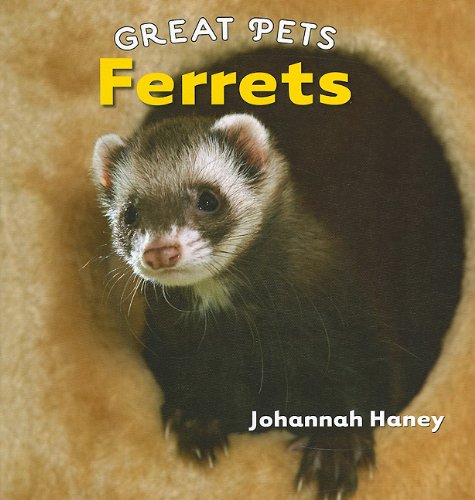 Ferrets Great Pets Johannah Haney