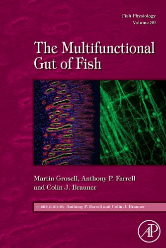 The Multifunctional Gut Of Fish 1st Edition Martin Grosell Anthony P Farrell And Colin J Brauner Eds