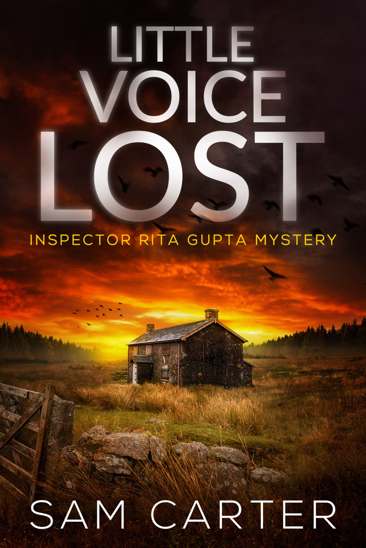 Little Voice Lost A North York Moors Crime Thriller Di Rita Gupta Series Book 3 Sam Carter