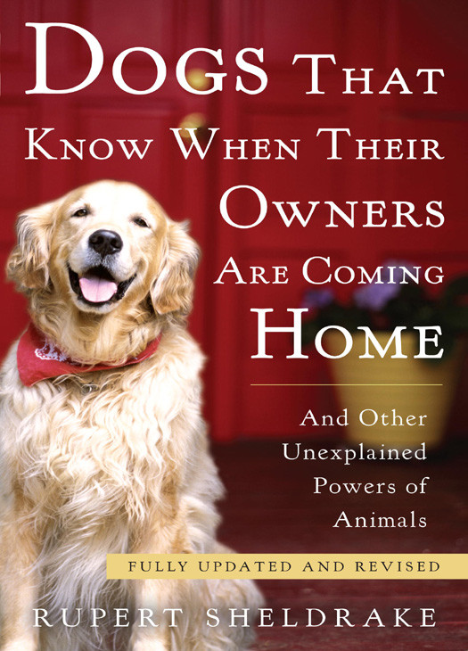 Dogs That Know When Their Owners Are Coming Home And Other Unexplained Powers Of Animals Rupert Sheldrake