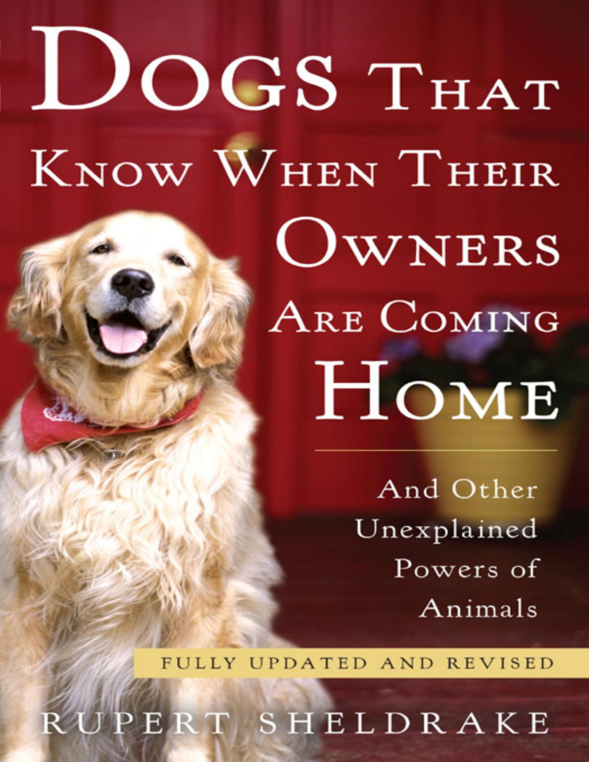 Dogs That Know When Their Owners Are Coming Home Rupert Sheldrake
