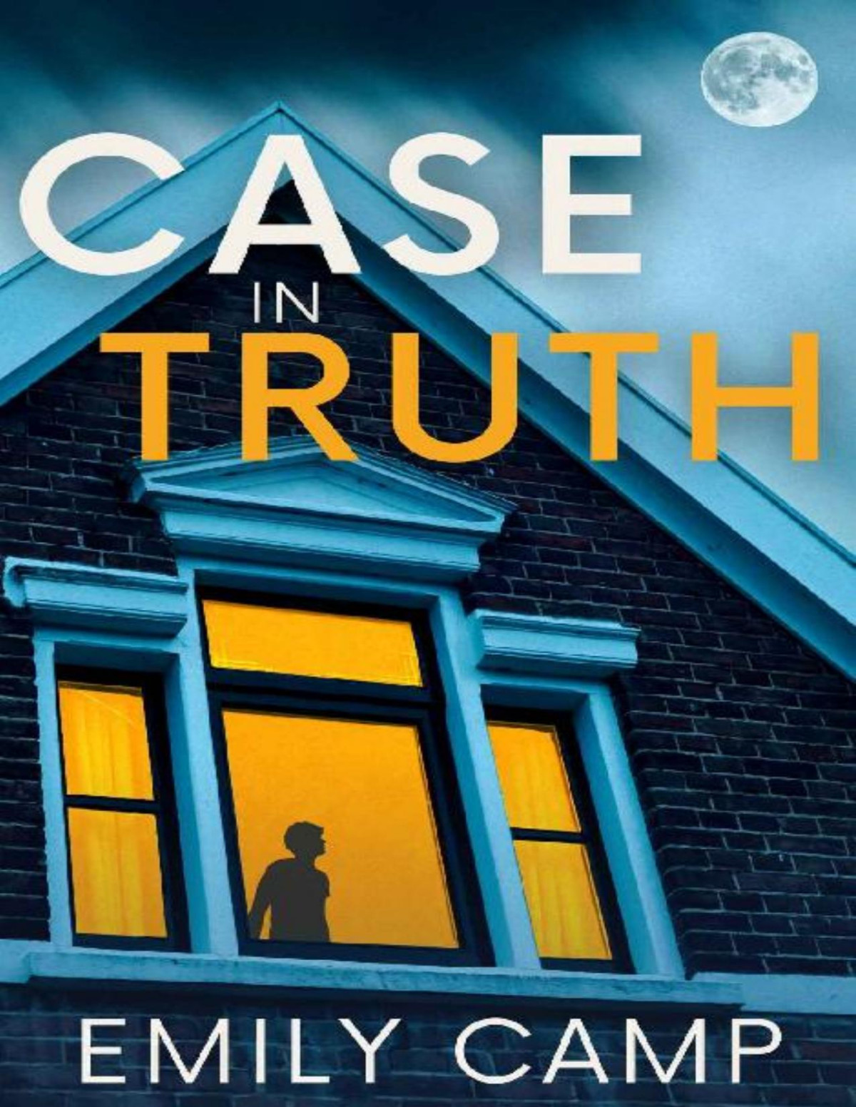 Case In Truth A Mystery Romance Emily Camp
