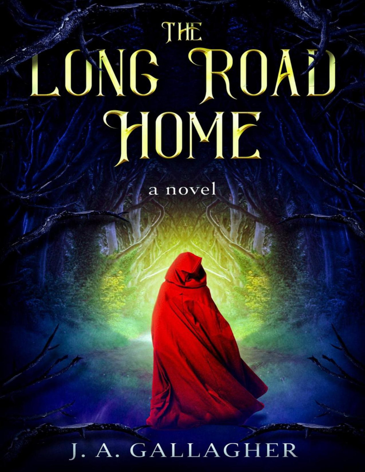The Long Road Home J A Gallagher