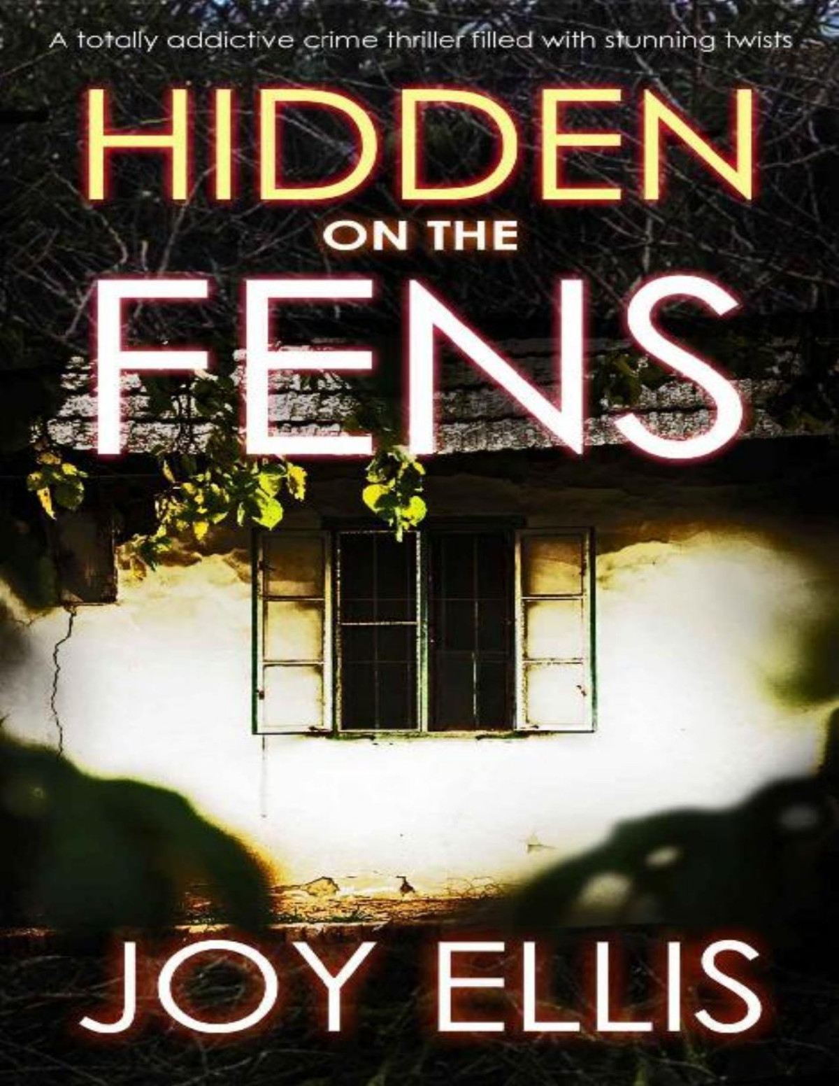 Hidden On The Fens A Totally Addictive Crime Thriller Filled With Stunning Twists Di Nikki Galena Book 11 Joy Ellis