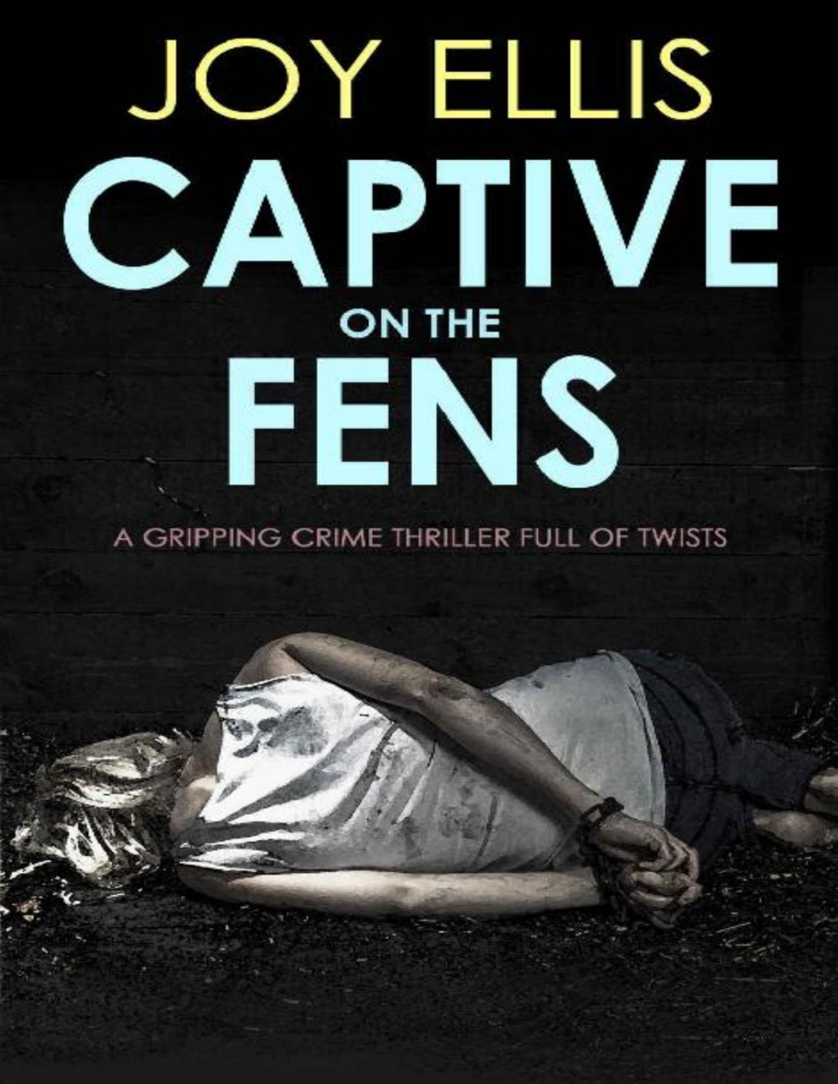 Captive On The Fens A Gripping Crime Thriller Full Of Twists Joy Ellis