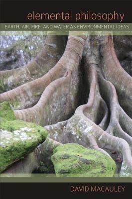 Elemental Philosophy Earth Air Fire And Water As Environmental Ideas Macauley