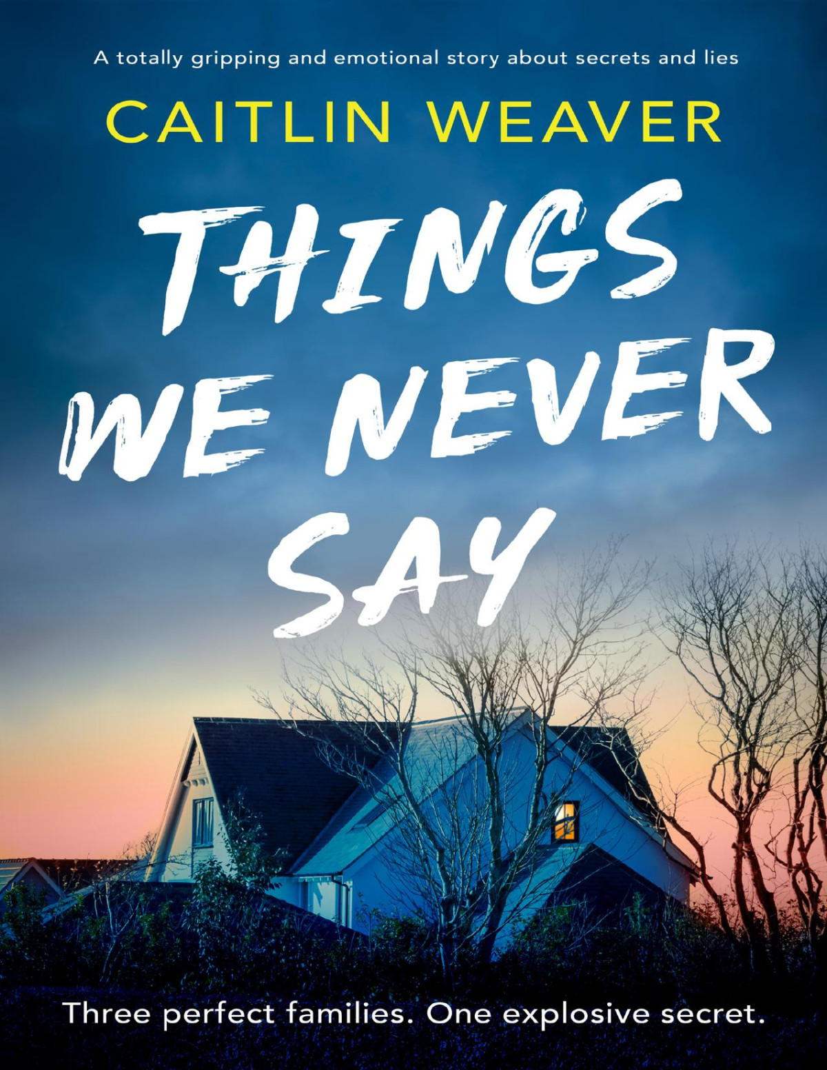 Things We Never Say An Unforgettable Emotional Story Of Secrets And Lies Caitlin Weaver