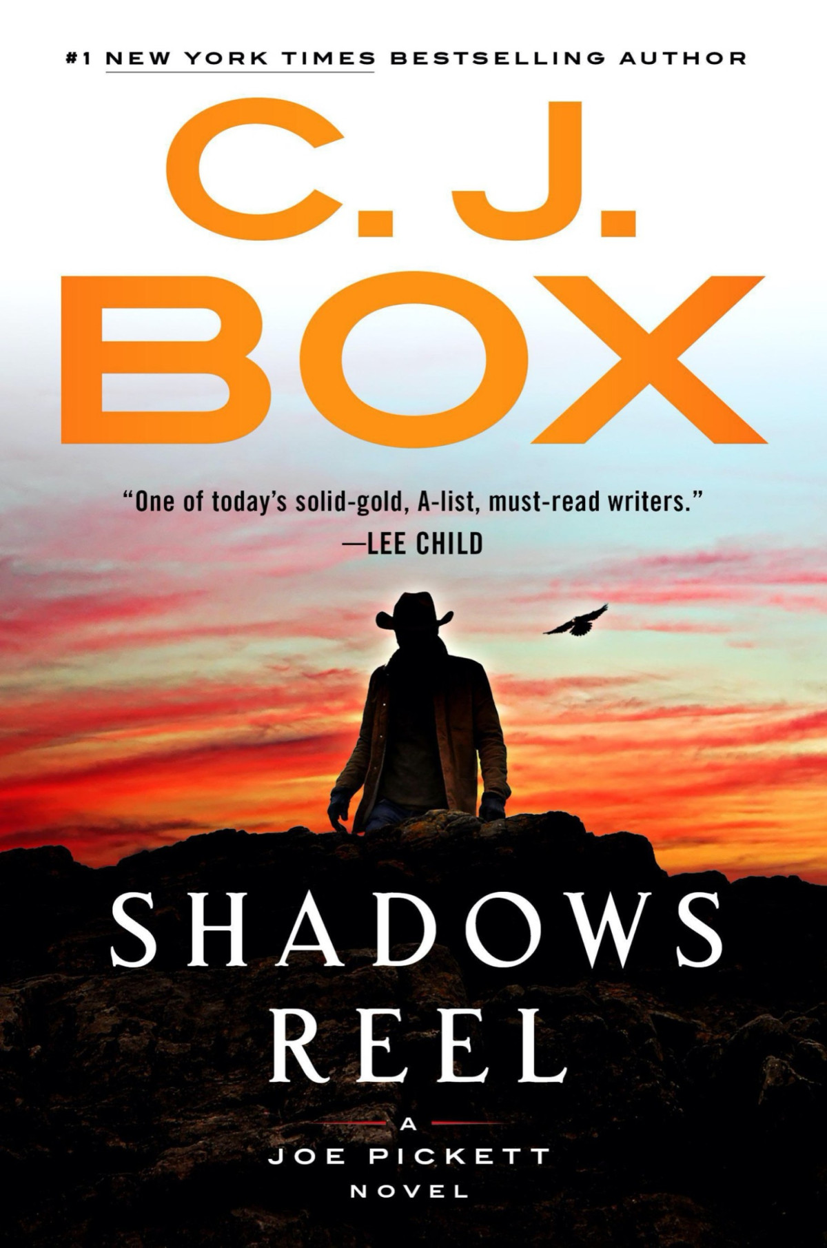 Joe Pickett 22 Shadows Reel C J Box